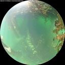 ./images/calvert/underwater/20260717/underwater20260717_094002M.jpg