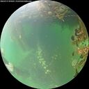 ./images/calvert/underwater/20260717/underwater20260717_095001M.jpg