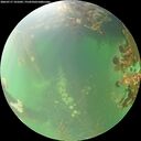 ./images/calvert/underwater/20260717/underwater20260717_101002M.jpg