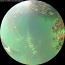 ./images/calvert/underwater/20260717/underwater20260717_102002M.jpg