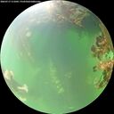./images/calvert/underwater/20260717/underwater20260717_111002M.jpg