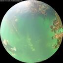 ./images/calvert/underwater/20260717/underwater20260717_111501M.jpg