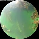 ./images/calvert/underwater/20260717/underwater20260717_112001M.jpg