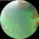 ./images/calvert/underwater/20260717/underwater20260717_114501M.jpg
