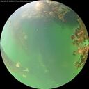 ./images/calvert/underwater/20260717/underwater20260717_120501M.jpg