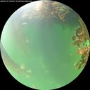 ./images/calvert/underwater/20260717/underwater20260717_122501M.jpg