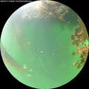 ./images/calvert/underwater/20260717/underwater20260717_124001M.jpg