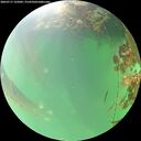 ./images/calvert/underwater/20260717/underwater20260717_125002M.jpg