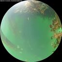 ./images/calvert/underwater/20260717/underwater20260717_125501M.jpg