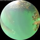 ./images/calvert/underwater/20260717/underwater20260717_131001M.jpg