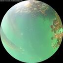 ./images/calvert/underwater/20260717/underwater20260717_131501M.jpg