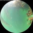 ./images/calvert/underwater/20260717/underwater20260717_132001M.jpg