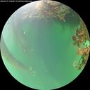 ./images/calvert/underwater/20260717/underwater20260717_133001M.jpg