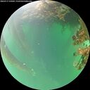 ./images/calvert/underwater/20260717/underwater20260717_135002M.jpg