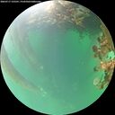 ./images/calvert/underwater/20260717/underwater20260717_135501M.jpg