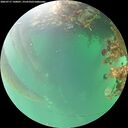 ./images/calvert/underwater/20260717/underwater20260717_140001M.jpg