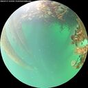 ./images/calvert/underwater/20260717/underwater20260717_152501M.jpg