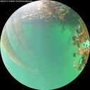 ./images/calvert/underwater/20260717/underwater20260717_154001M.jpg
