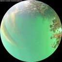 ./images/calvert/underwater/20260717/underwater20260717_154502M.jpg