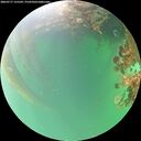 ./images/calvert/underwater/20260717/underwater20260717_155501M.jpg