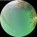./images/calvert/underwater/20260717/underwater20260717_160001M.jpg