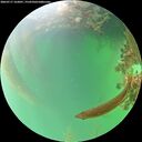 ./images/calvert/underwater/20260717/underwater20260717_162001M.jpg