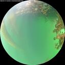 ./images/calvert/underwater/20260717/underwater20260717_162501M.jpg