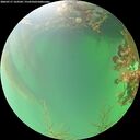./images/calvert/underwater/20260717/underwater20260717_163501M.jpg