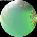 ./images/calvert/underwater/20260717/underwater20260717_165001M.jpg