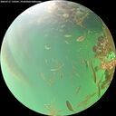 ./images/calvert/underwater/20260717/underwater20260717_170501M.jpg