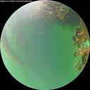 ./images/calvert/underwater/20260717/underwater20260717_174001M.jpg