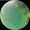 ./images/calvert/underwater/20260717/underwater20260717_181001M.jpg
