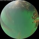 ./images/calvert/underwater/20260717/underwater20260717_193501M.jpg
