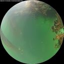./images/calvert/underwater/20260717/underwater20260717_201001M.jpg