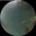 ./images/calvert/underwater/20260717/underwater20260717_213501M.jpg