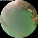 ./images/calvert/underwater/20260718/underwater20260718_064502M.jpg