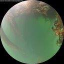 ./images/calvert/underwater/20260718/underwater20260718_065001M.jpg
