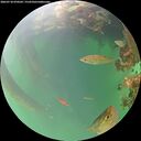 ./images/calvert/underwater/20260718/underwater20260718_070501M.jpg