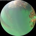 ./images/calvert/underwater/20260718/underwater20260718_071501M.jpg