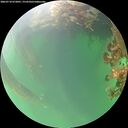 ./images/calvert/underwater/20260718/underwater20260718_072001M.jpg