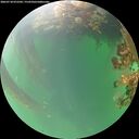 ./images/calvert/underwater/20260718/underwater20260718_072502M.jpg