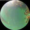 ./images/calvert/underwater/20260718/underwater20260718_075501M.jpg