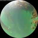 ./images/calvert/underwater/20260718/underwater20260718_082001M.jpg