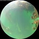 ./images/calvert/underwater/20260718/underwater20260718_084501M.jpg
