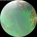 ./images/calvert/underwater/20260718/underwater20260718_085001M.jpg