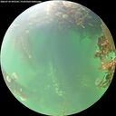 ./images/calvert/underwater/20260718/underwater20260718_093501M.jpg