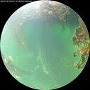 ./images/calvert/underwater/20260718/underwater20260718_094501M.jpg