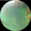 ./images/calvert/underwater/20260718/underwater20260718_101002M.jpg