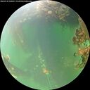 ./images/calvert/underwater/20260718/underwater20260718_103001M.jpg