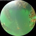 ./images/calvert/underwater/20260718/underwater20260718_112501M.jpg